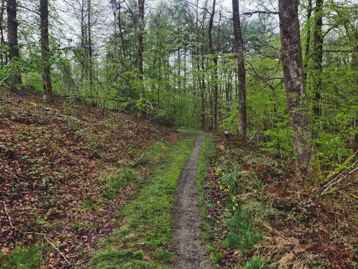 Photo de Baptiste Adventures dans les Ardennes