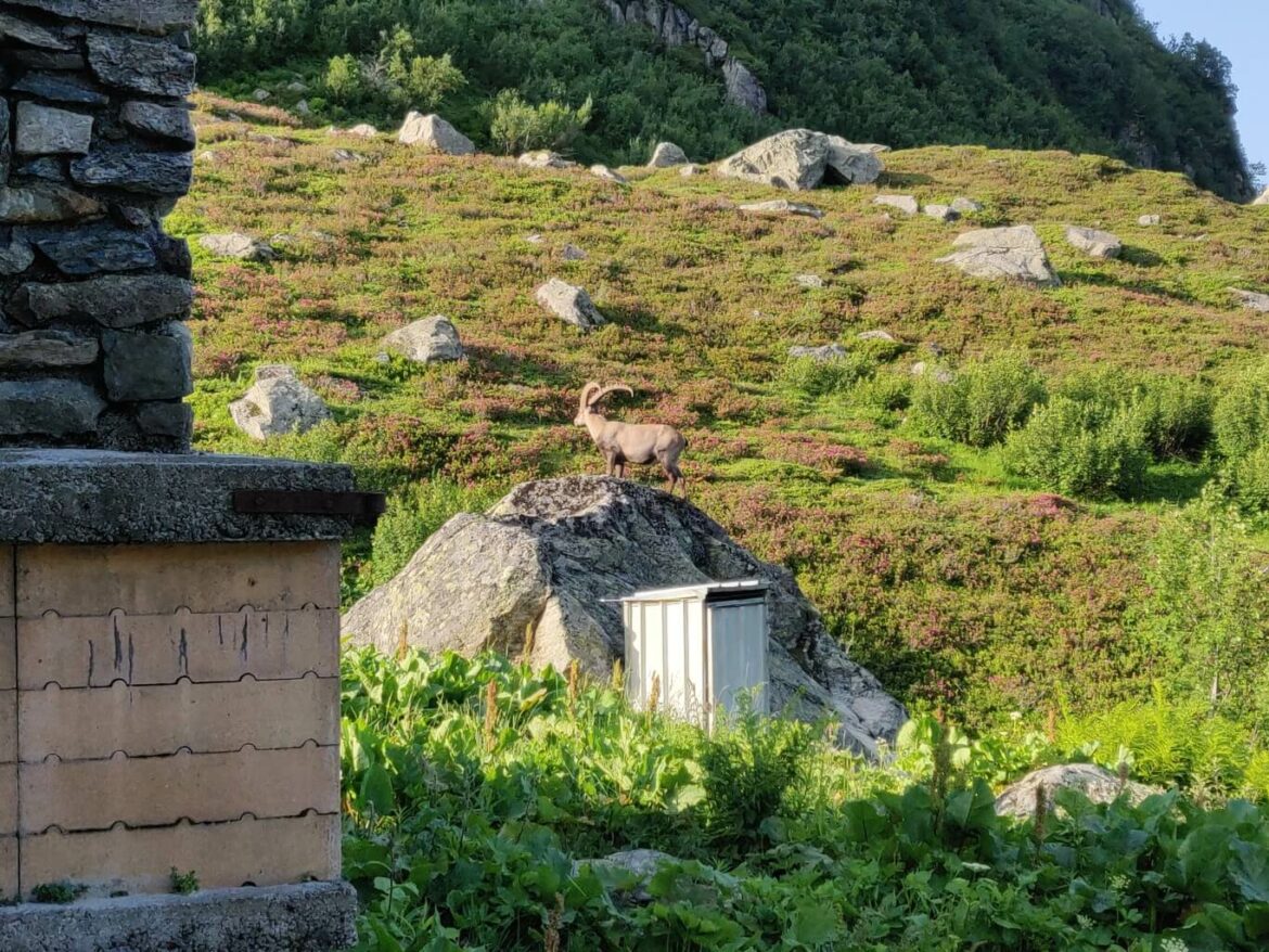 Photo de Baptiste Adventures dans les Alpes