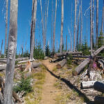 Photo de Baptiste Orieux sur le PCT en 2016