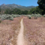 Photo de Baptiste Orieux sur le PCT en 2016