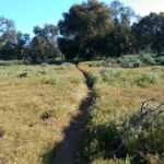 Photo de Baptiste Orieux sur le PCT en 2016