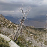 Photo de Baptiste Orieux sur le PCT en 2016