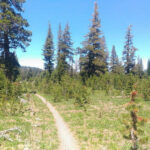 Photo de Baptiste Orieux sur le PCT en 2016