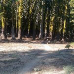 Photo de Baptiste Orieux sur le PCT en 2016