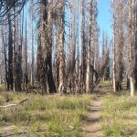 Photo de Baptiste Orieux sur le PCT en 2016