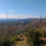 Photo de Baptiste Orieux sur le PCT en 2016